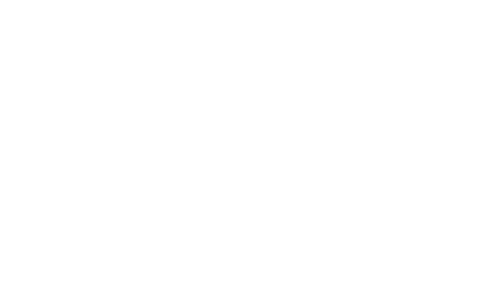 BLACK RING RANCH